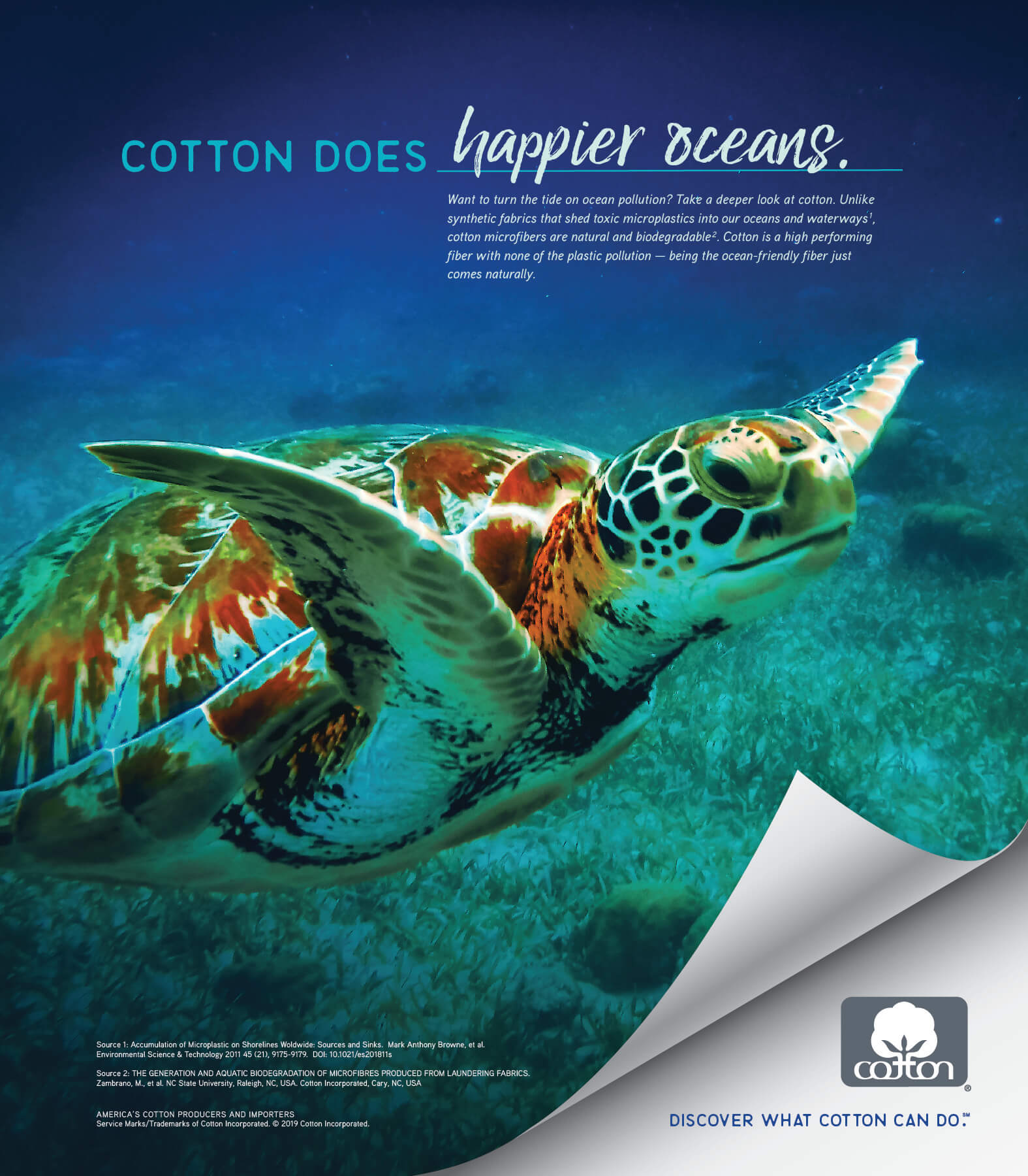 CottonDoes-HappierOceans-turtle